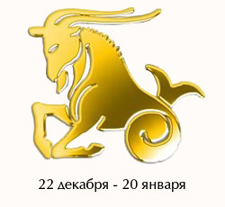 Камни по знакам зодиака Козерог (22 декабря – 20 января)